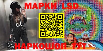 СК Новодвинск