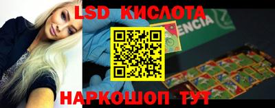 СК Новодвинск