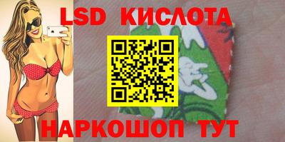 СК Новодвинск