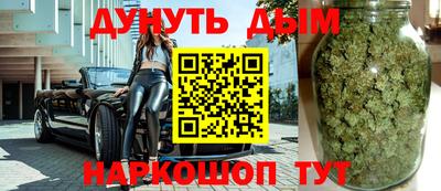 прущие грибы Новозыбков