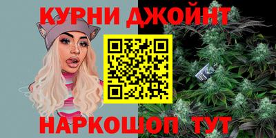 СК Новодвинск