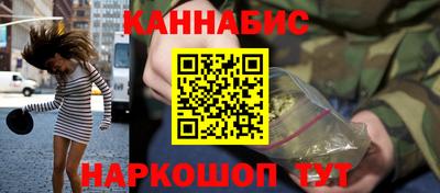 СК Новодвинск