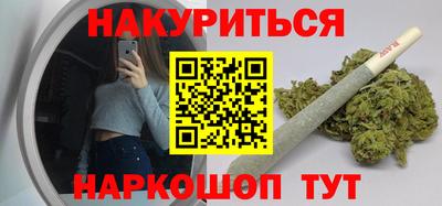 СК Новодвинск