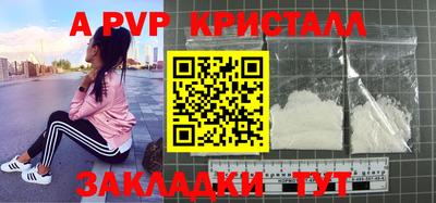 СК Новодвинск