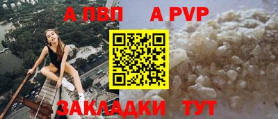 прущие грибы Новозыбков